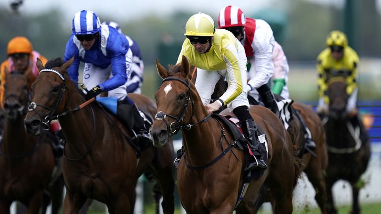 Choisya is Kate Tracey's selection for the Snowdrop Fillies' Stakes this weekend. 