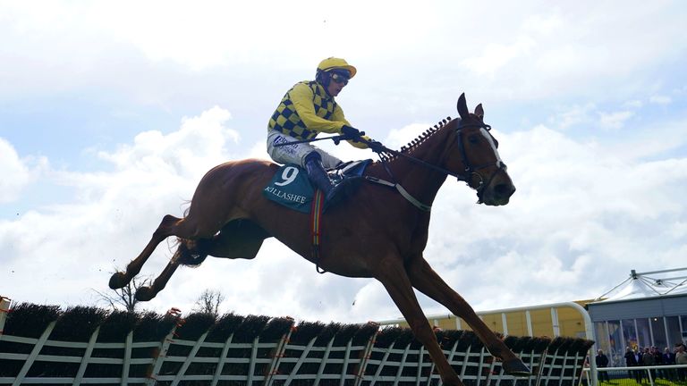 Daddy Long Legs cruises to victory at the Punchestown Festival