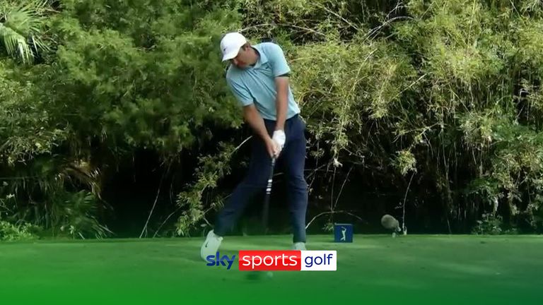 Scottie Scheffler driving stance analysis