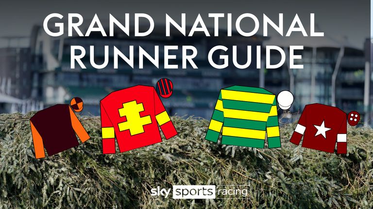 Grand National runner guide
