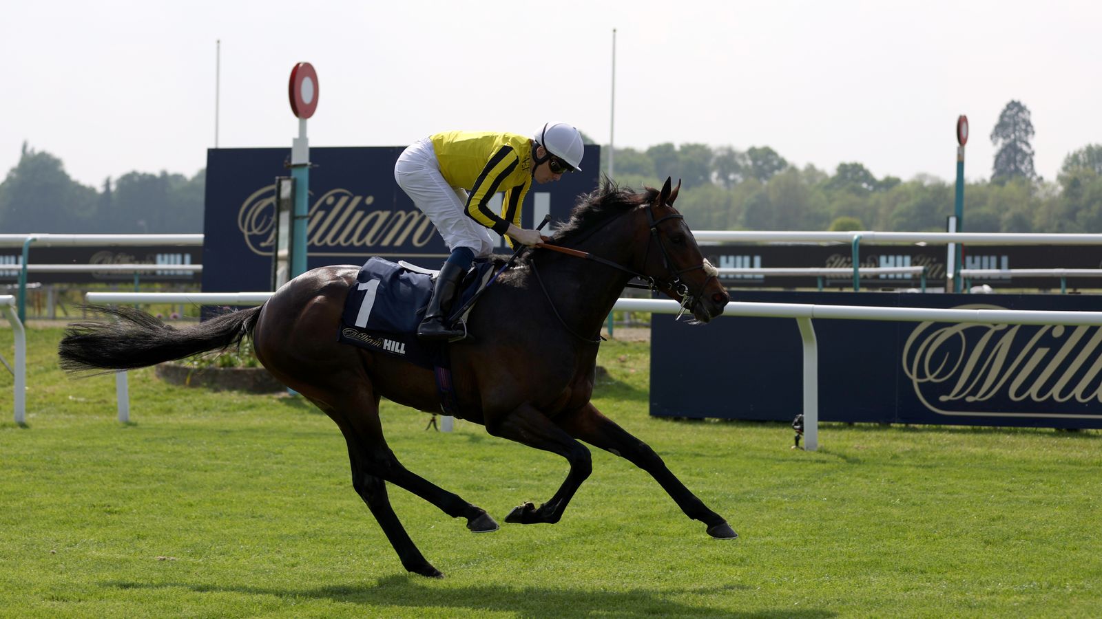 Freddy Tylicki: Ambiente Friendly to go like a superstar in Epsom Derby