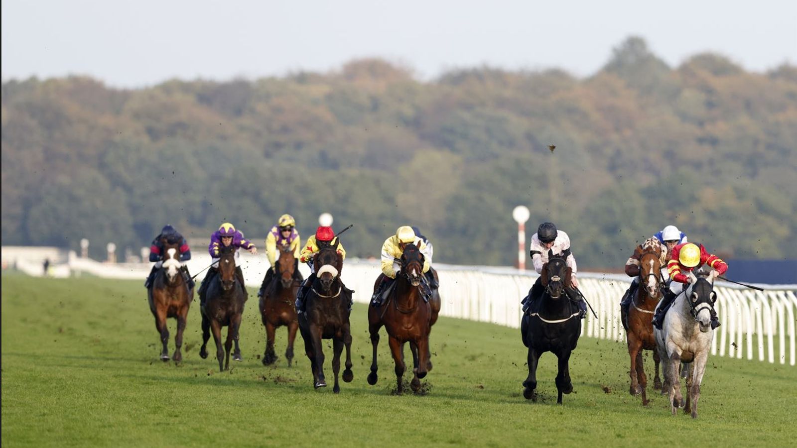 Today on Sky Sports Racing: Royal runner High Order contests feature handicap at Doncaster | Racing News