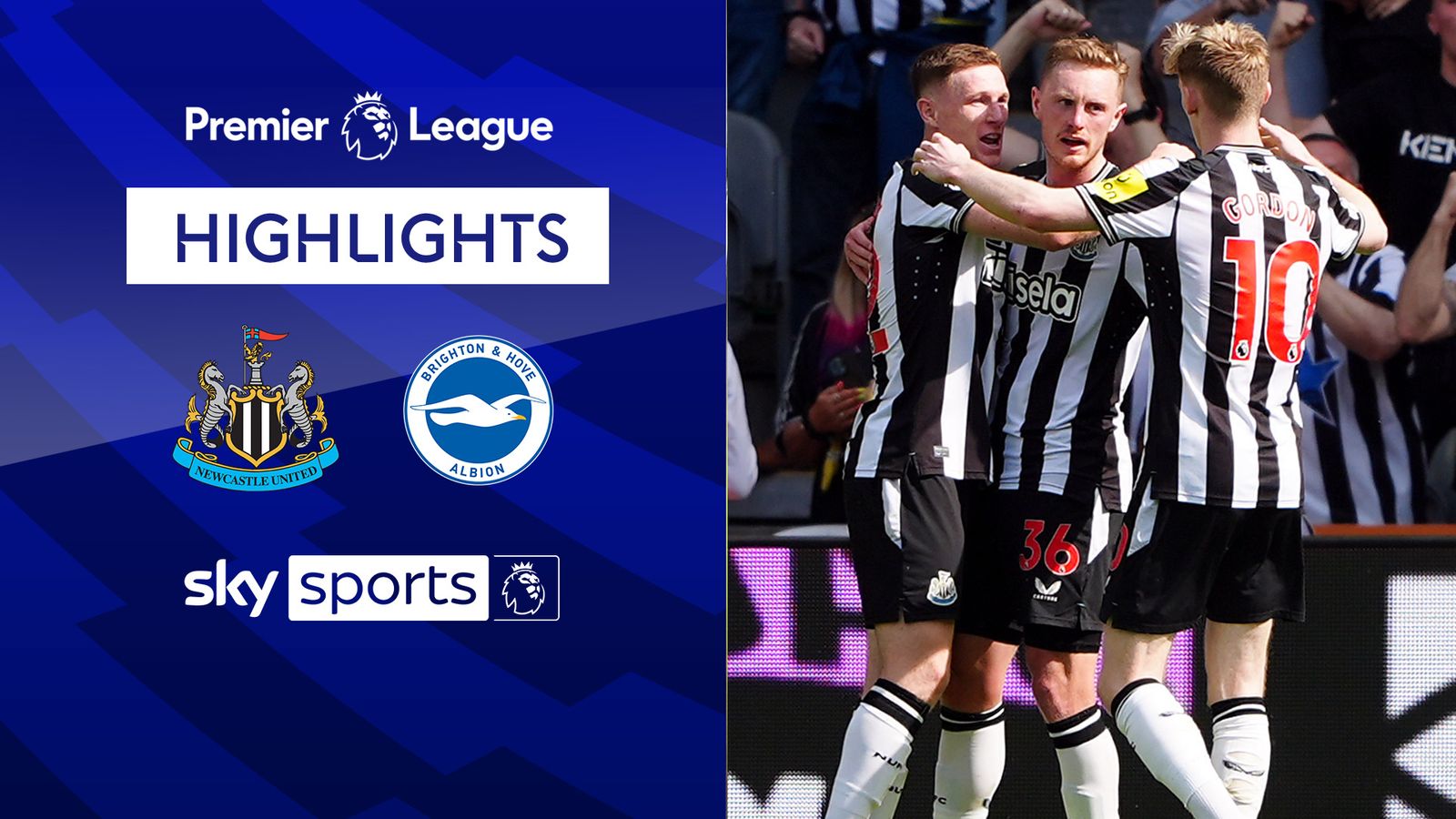 FREE TO WATCH: Highlights from the Premier League clash between Newcastle  and Brighton.