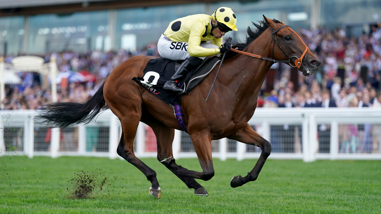 Today on Sky Sports Racing: Rosallion seeks revenge against Notable Speech at Royal Ascot