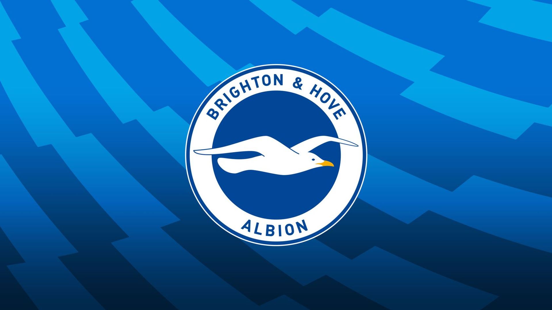 Brighton's 2025/26 fixtures