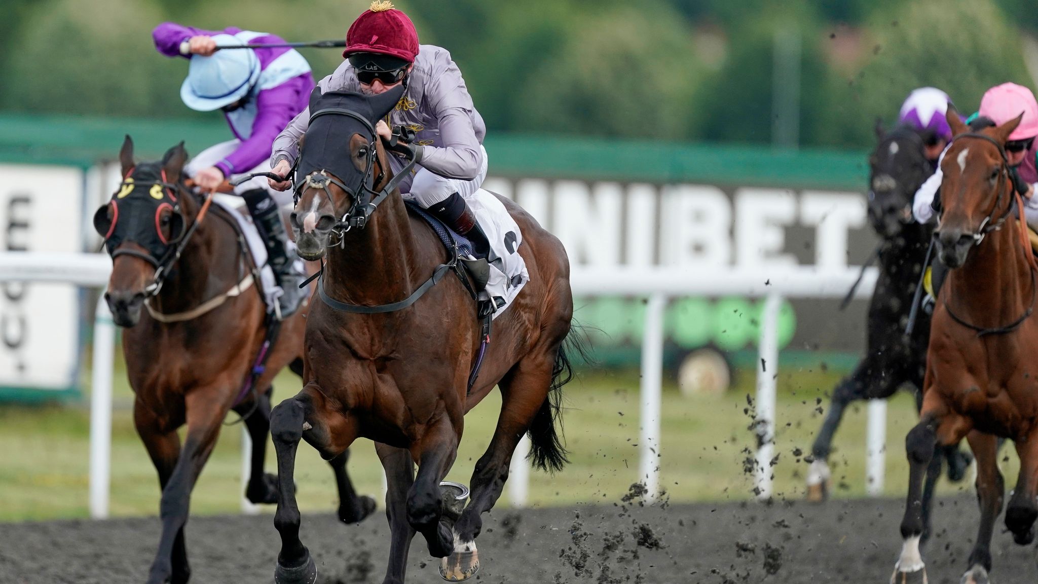 Chester's Boodles May Festival: Horses to follow this week | Racing ...