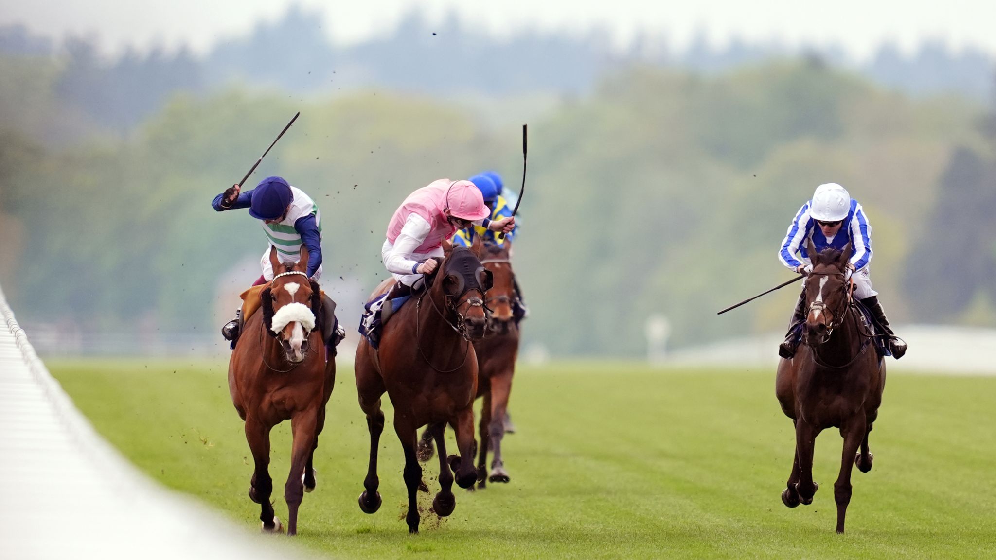 Ascot: Coltrane collects Sagaro top honours once again | Racing News ...