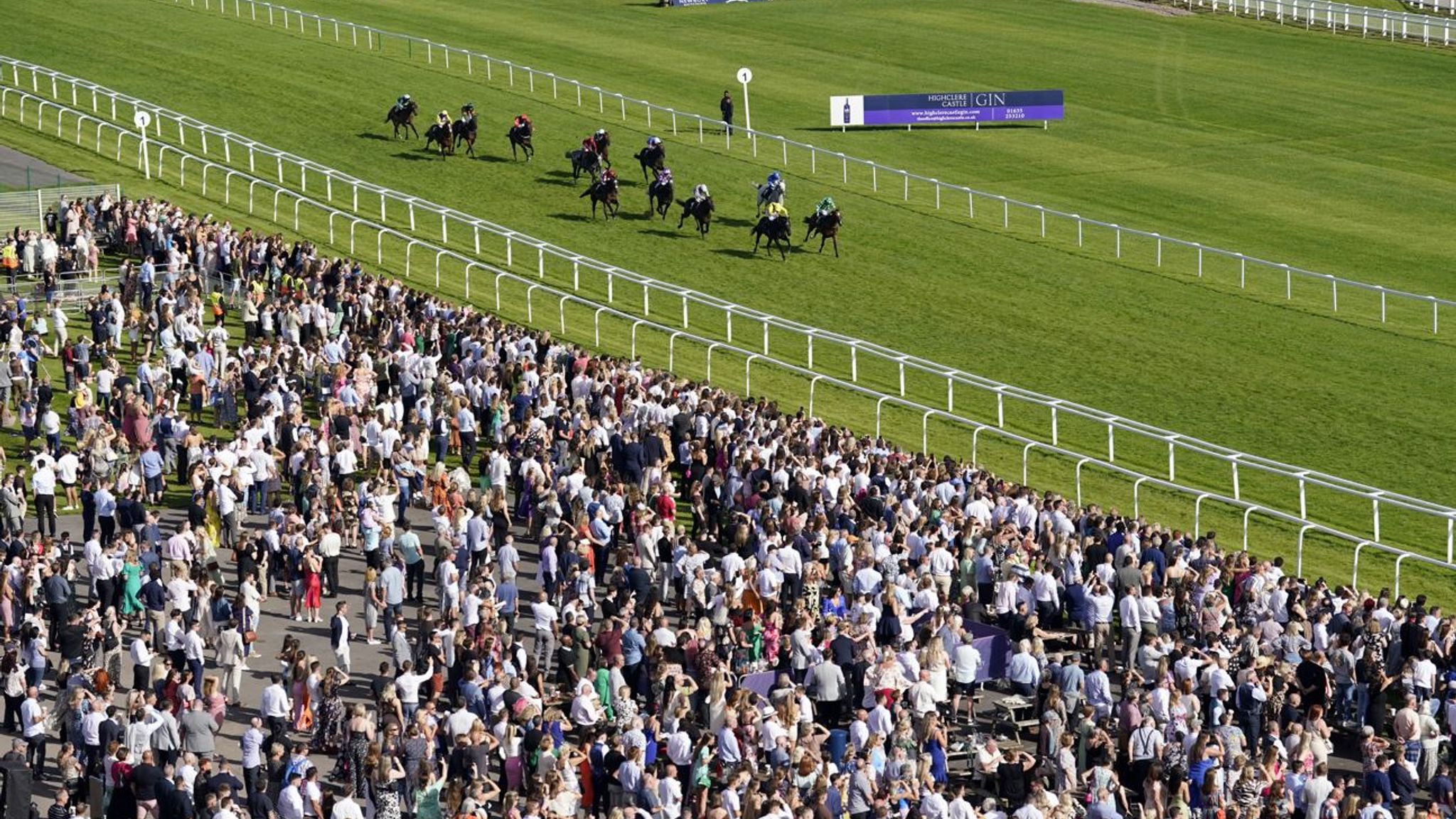 Saturday Tips! Four horses to follow at Newbury including a 12/1 shot ...
