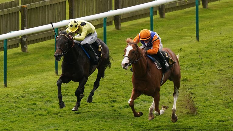 Boiling Point showed how classy he was in the King Charles II Stakes