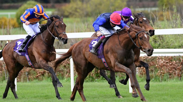 Galileo Dame (red cap) defeats Rubies Are Red (purple) at Leopardstown