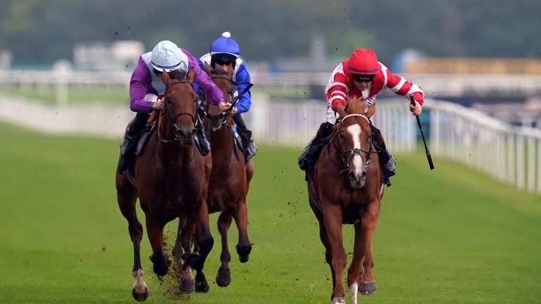  King's Gambit impresses in London Gold Cup