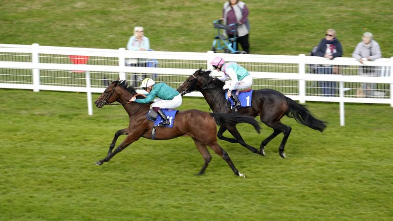 Remarquee in winning action at Salisbury