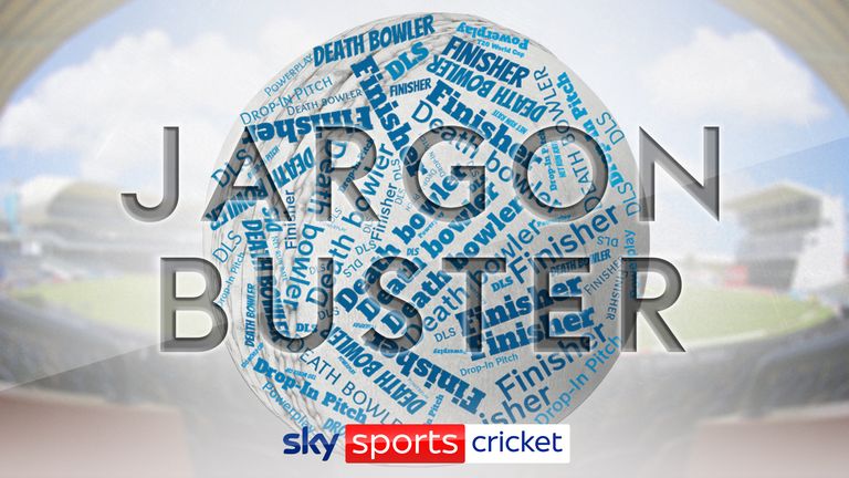 T20 World Cup jargon buster