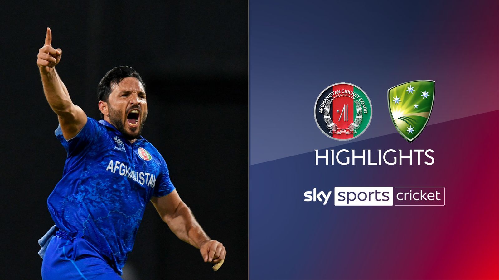 T20 World Cup highlights: Afghanistan vs Australia | Cricket News | Sky ...