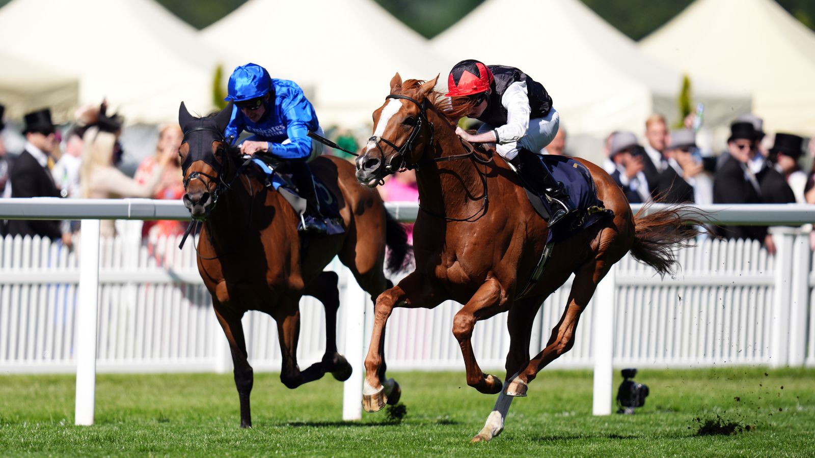 Royal Ascot: King Kyprios reclaims his Gold Cup title