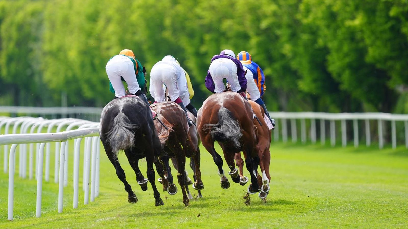 Today on Sky Sports Racing: Four good chances for team Skelton at Newton Abbot | Racing News Today on Sky Sports Racing: Four good chances for team Skelton at Newton Abbot | Racing News