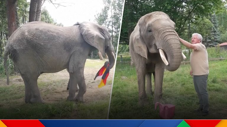 German elephant Bubi has predicted the first game of Euro 2024 by picking which goal she scores in.