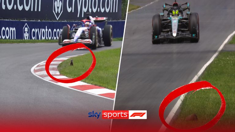 A Groundhog stole the show during P3 as it got caught on the side of the track.