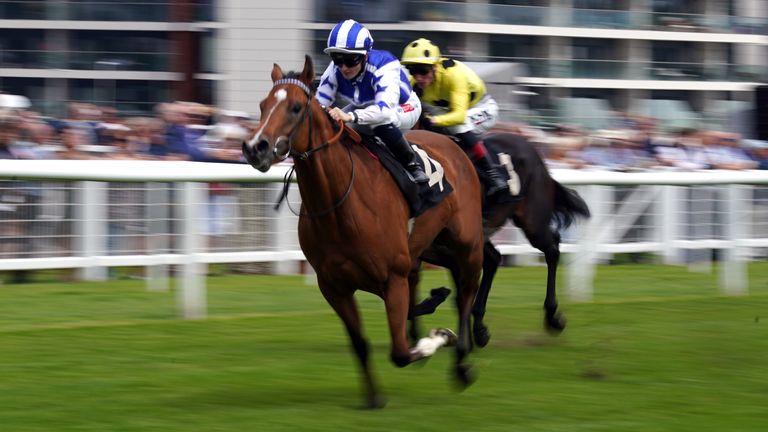Cogitate was ridden by Hollie Doyle on his way to winning the R & M Electrical EBF Novice Stakes at Newbury