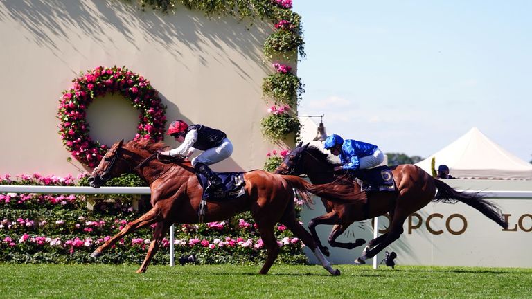 Kyprios wins the Ascot Gold Cup