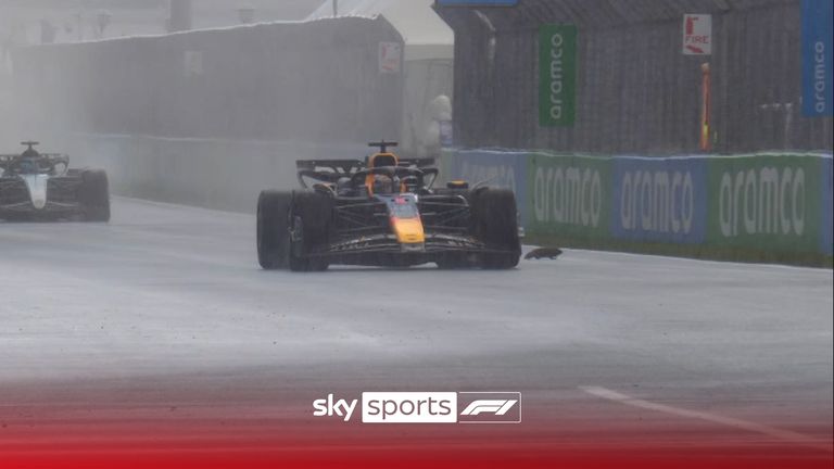 Max Verstappen talks about his near miss with a groundhog at the Canadian Grand Prix.