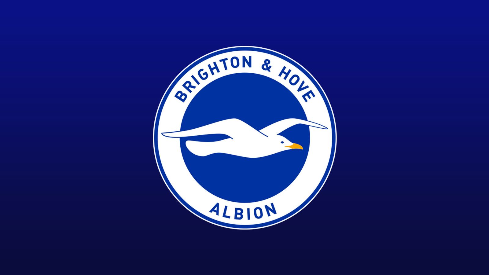 Brighton top scorers 2024/25 Football News Sky Sports