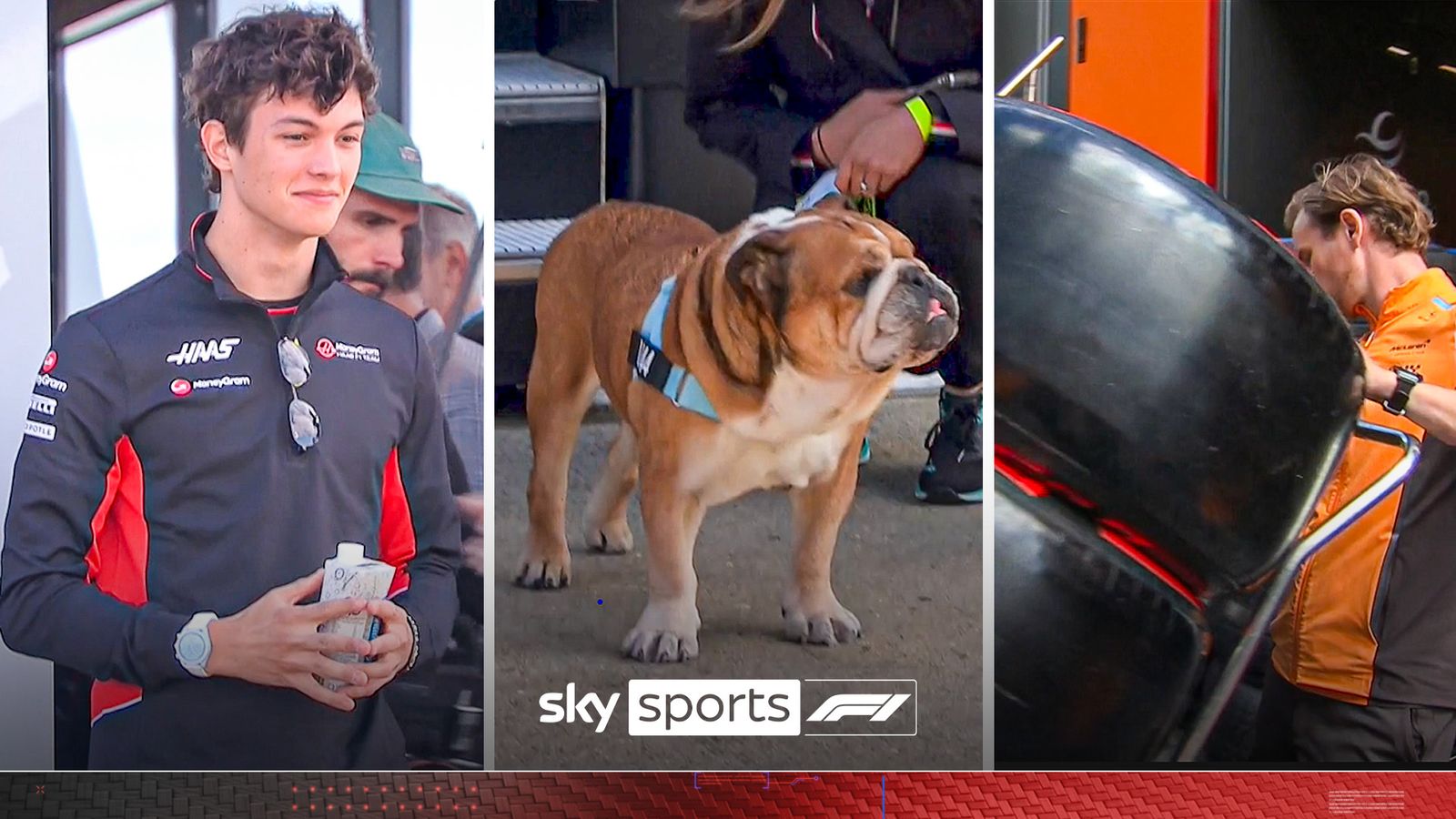 Roscoe steals the show and Luke Littler! | Sights and sounds of Silverstone GP