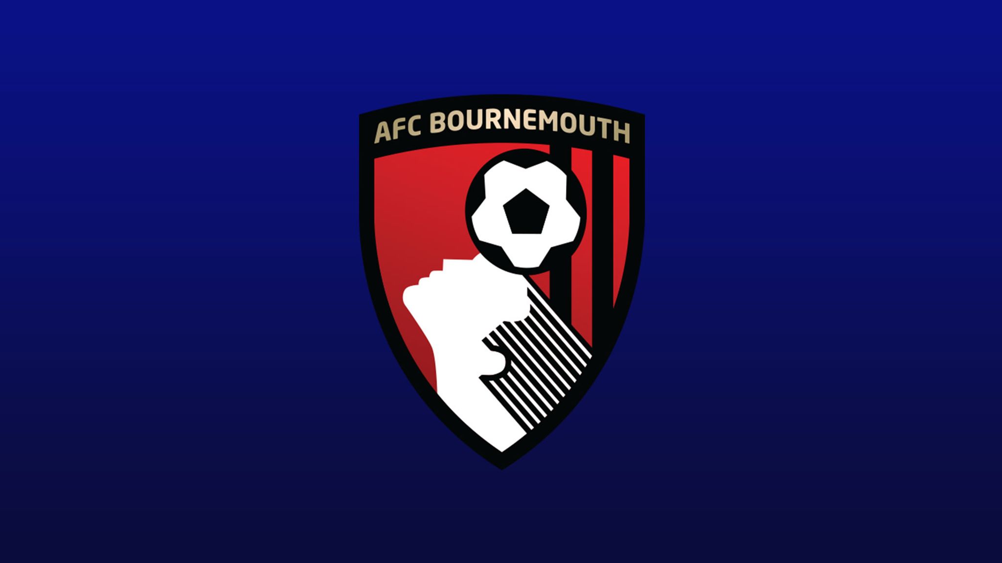 Bournemouth top scorers 2024/25 | Football News | Sky Sports