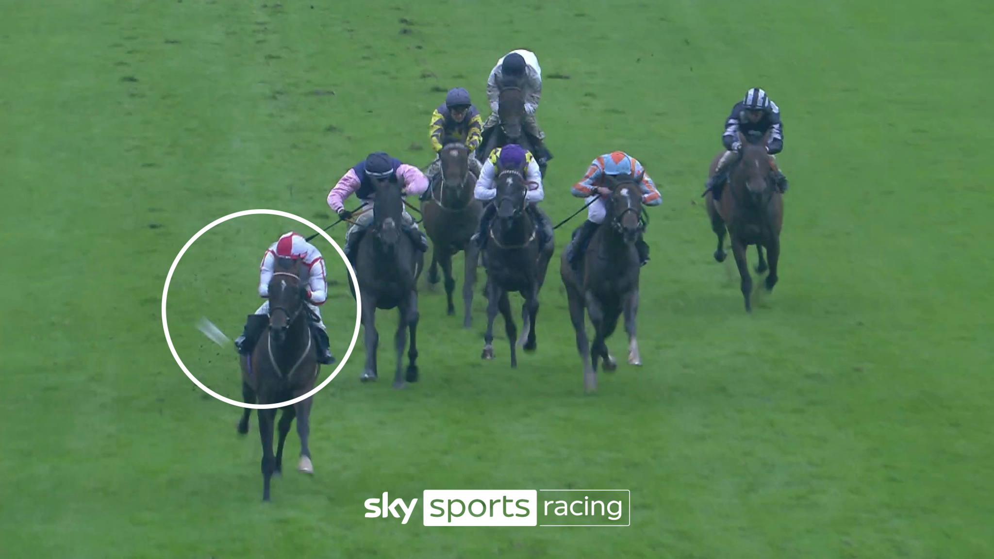 Windsor cup incident: Trainer Eve Johnson Houghton condemns racegoer ...