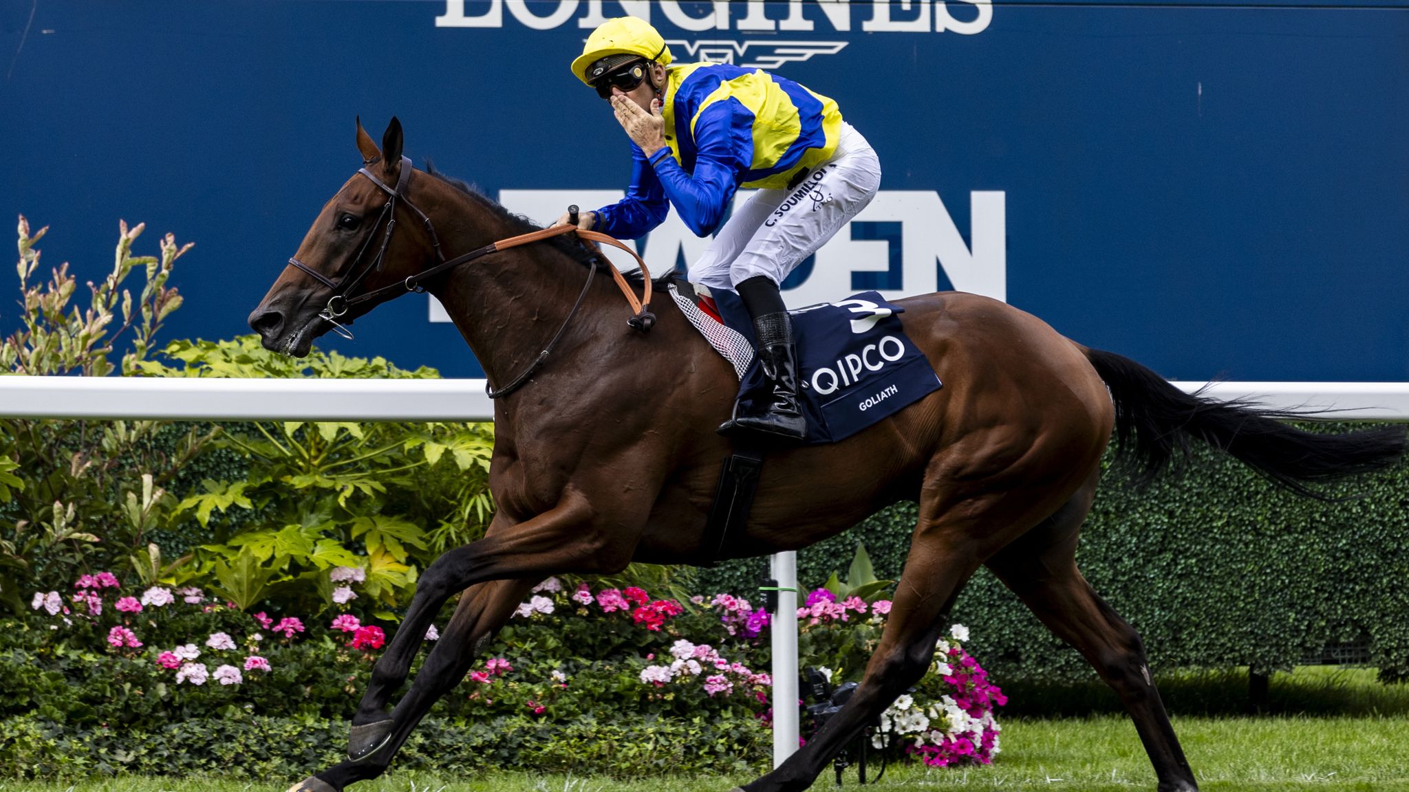 Today on Sky Sports Racing King winner Goliath is back at