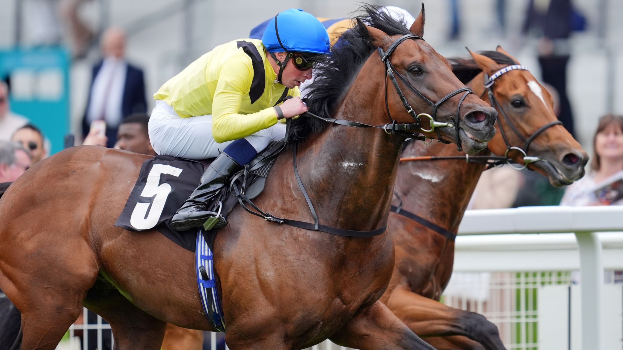 Today on Sky Sports Racing: Quddwah and Sonny Liston clash at Ascot ...