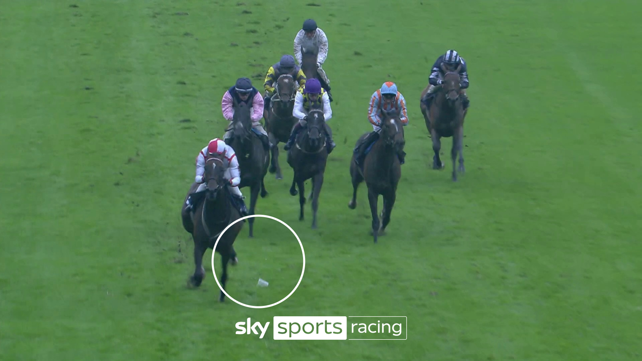 Windsor cup incident: Trainer Eve Johnson Houghton condemns racegoer ...