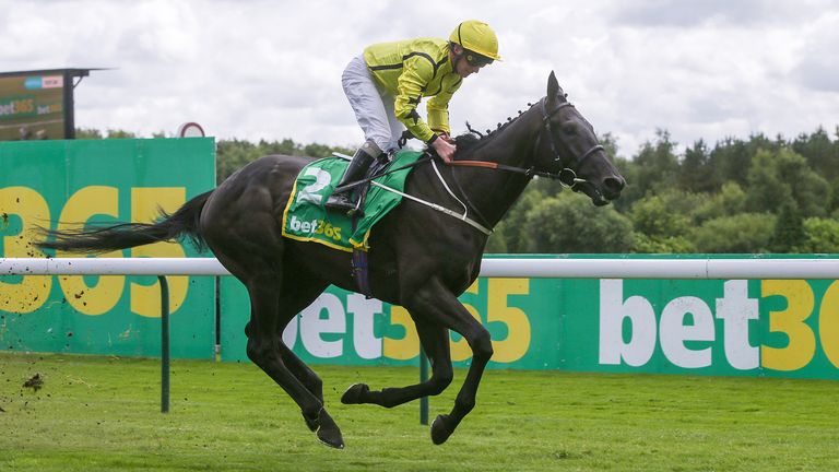 skysports align the stars haydock 6619837