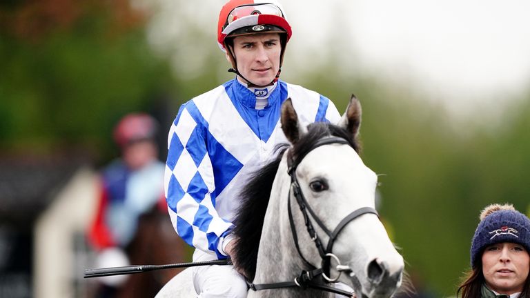 Dashinwhitesargent returns to action at Wolverhampton