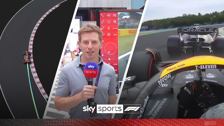 Anthony Davidson compares Max Verstappen's and Lando Norris's fastest laps from the Hungarian Grand Prix qualifying.