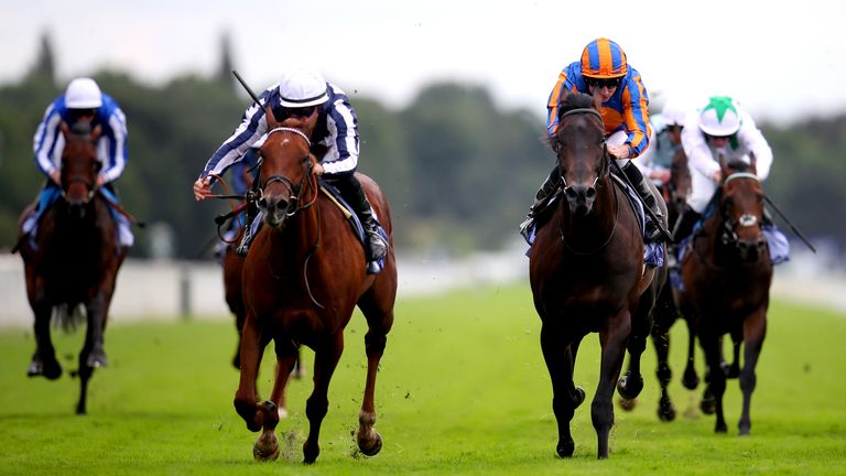 Lake Forest is Declan Rix's tips for the Hackwood Stakes