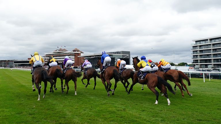 Runners and riders at Newbury