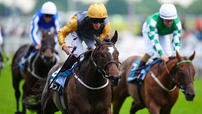 Shadow Army ridden by Daniel Tudhope coming home to win the British Stallion Studs EBF Novice Stakes on day one of the Dante Festival 2024 at York