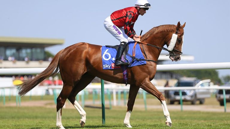 The Wizard Of Eye will miss Ascot