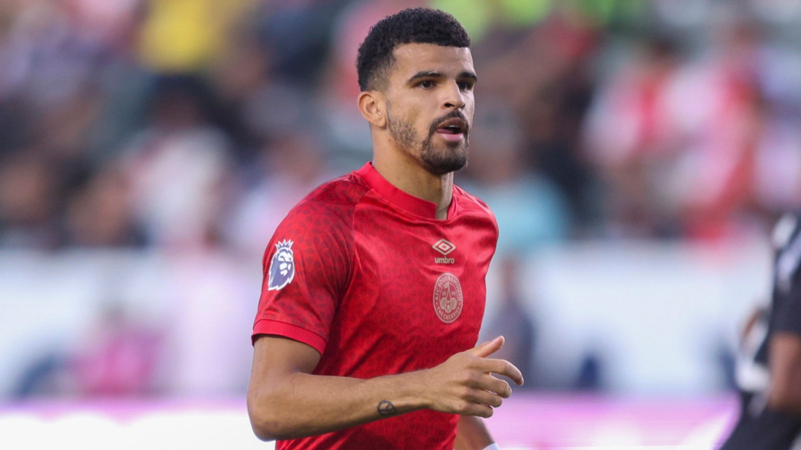 Dominic Solanke: Tottenham in advanced talks to sign Bournemouth striker | Football News | Sky Sports