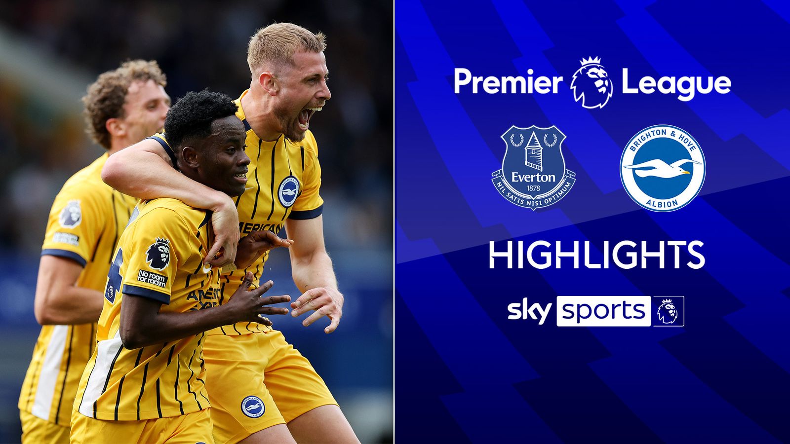 Everton 0-3 Brighton: Fabian Hurzeler makes winning start as Seagulls ...