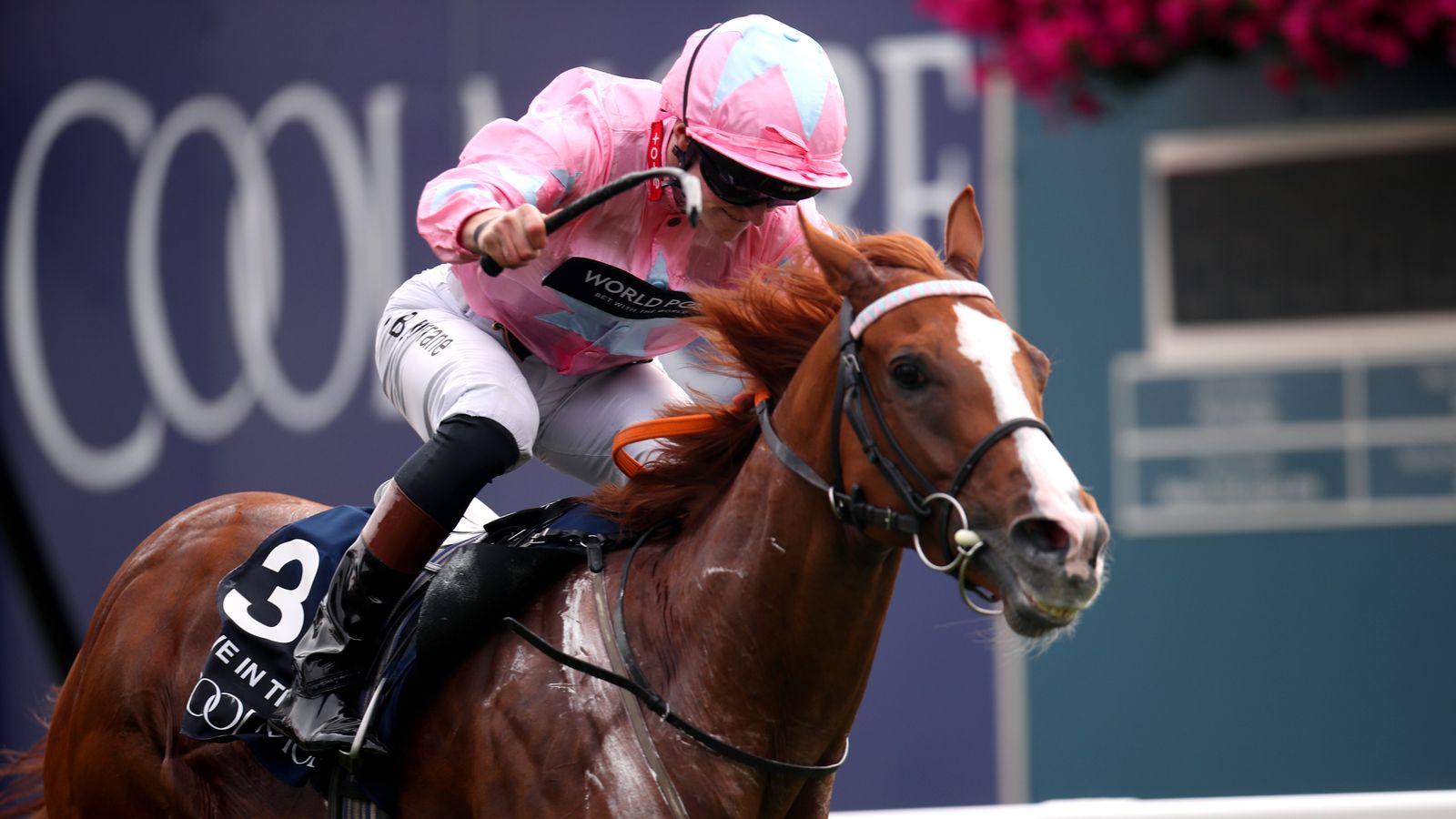 Live In The Dream still aiming for Breeders' Cup despite setback