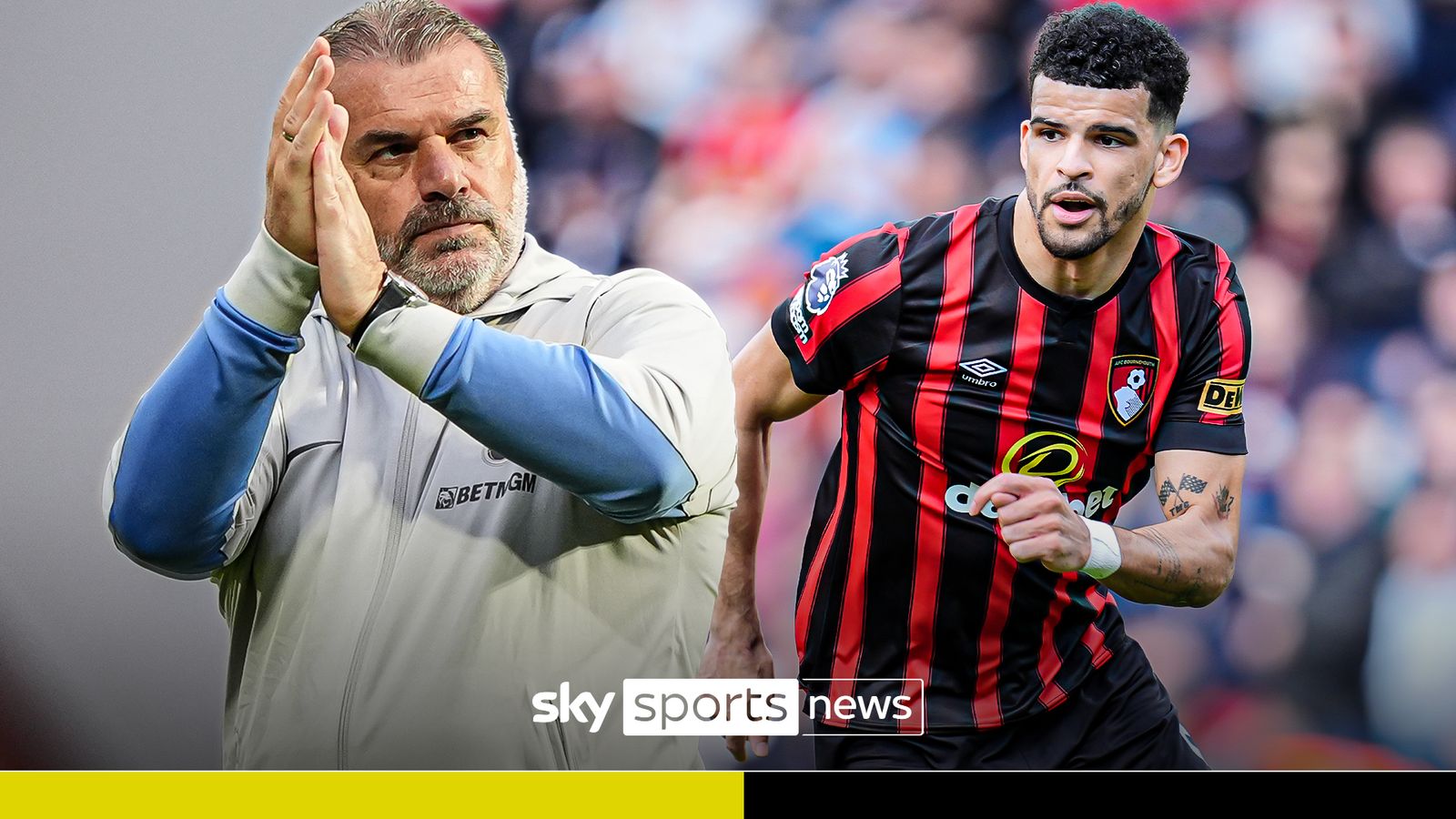 Dominic Solanke on Tottenham Hotspurs' list of forwards - Sky Sports