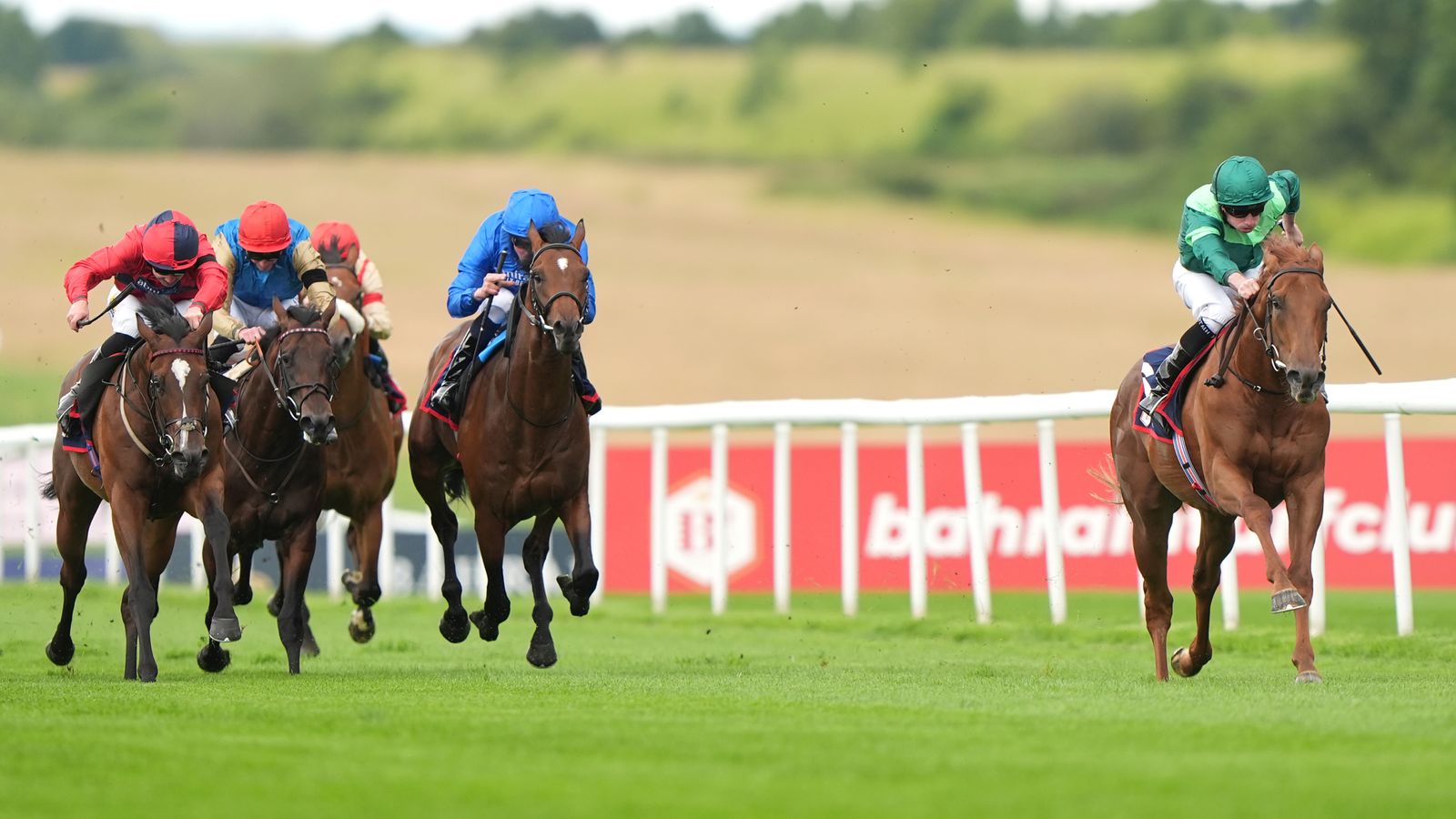 Racing round-up: Whistlejacket set to go for Phoenix Stakes gold for Aidan  O'Brien | Racing News | Sky Sports