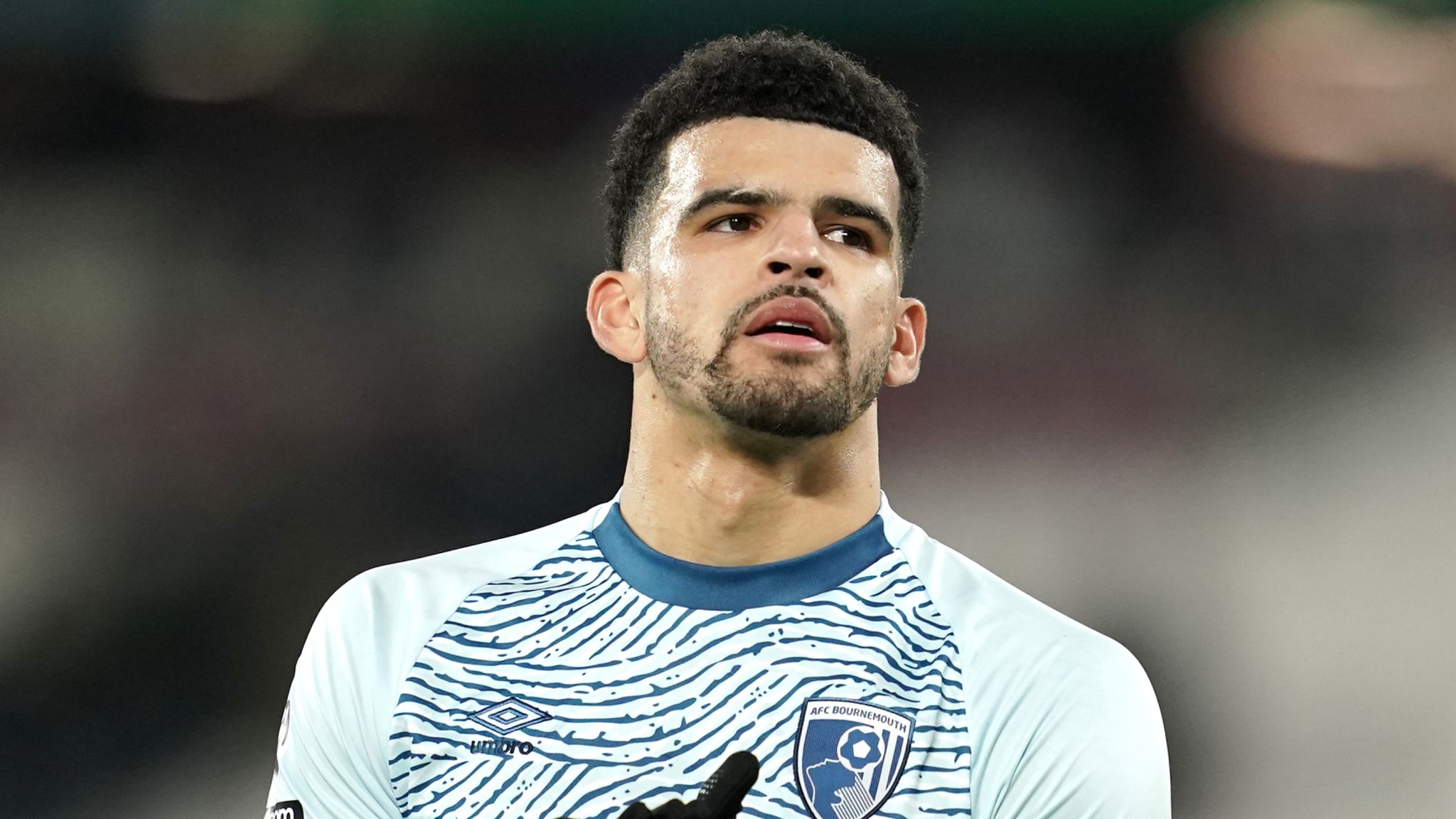 Dominic Solanke: Tottenham Agree £65m Deal With Bournemouth For Striker ...