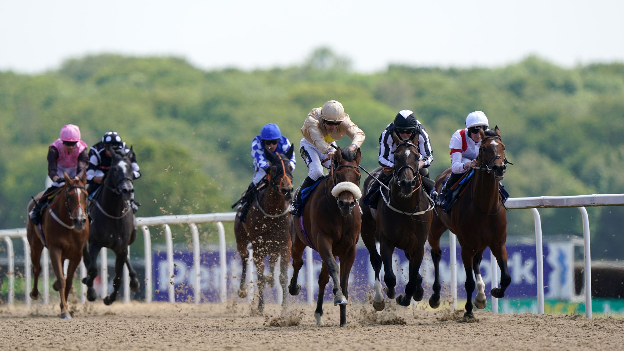 Hollie Doyle's blog: Albasheer can strike as 1,000th winner milestone ...