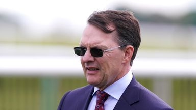 Aidan O'Brien: Whistlejacket is a Breeders' Cup type of horse