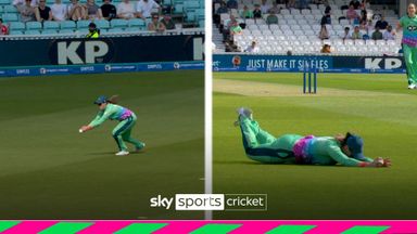 'That is a superb catch!' | Wellington takes stunning wicket 