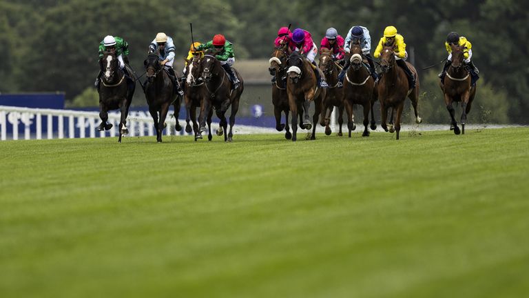 It's Shergar Cup day at Ascot...