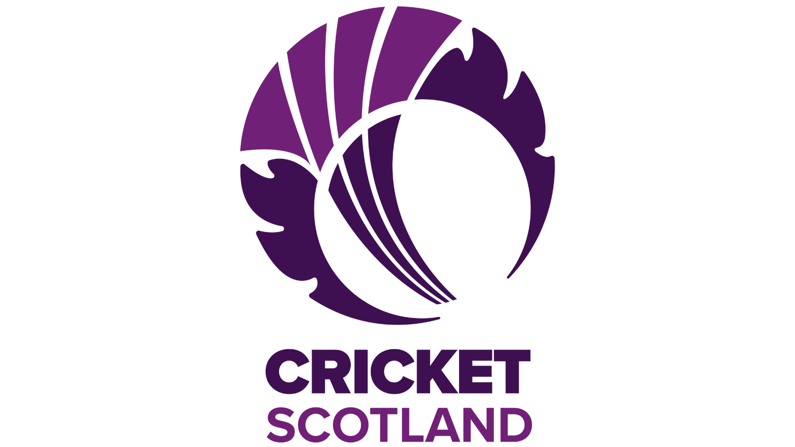 Cricket Scotland investigates director over ‘very serious issues’